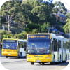 More Australian Bus & Tram images